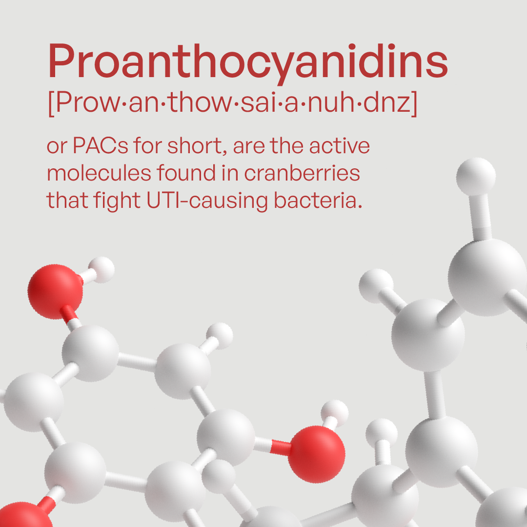 PAC de canneberge / Contrôle des infections urinaires