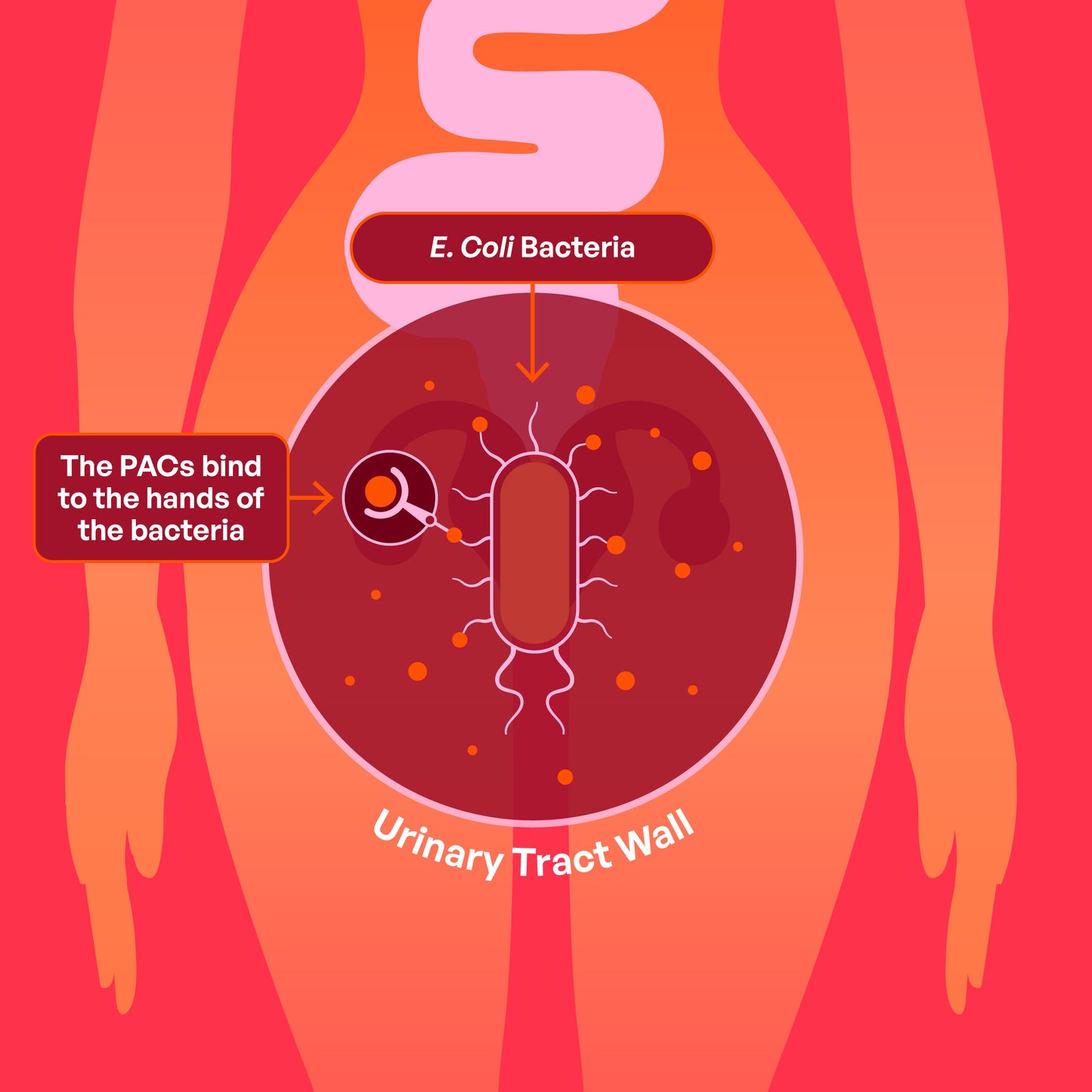 UTI Love Life Bundle