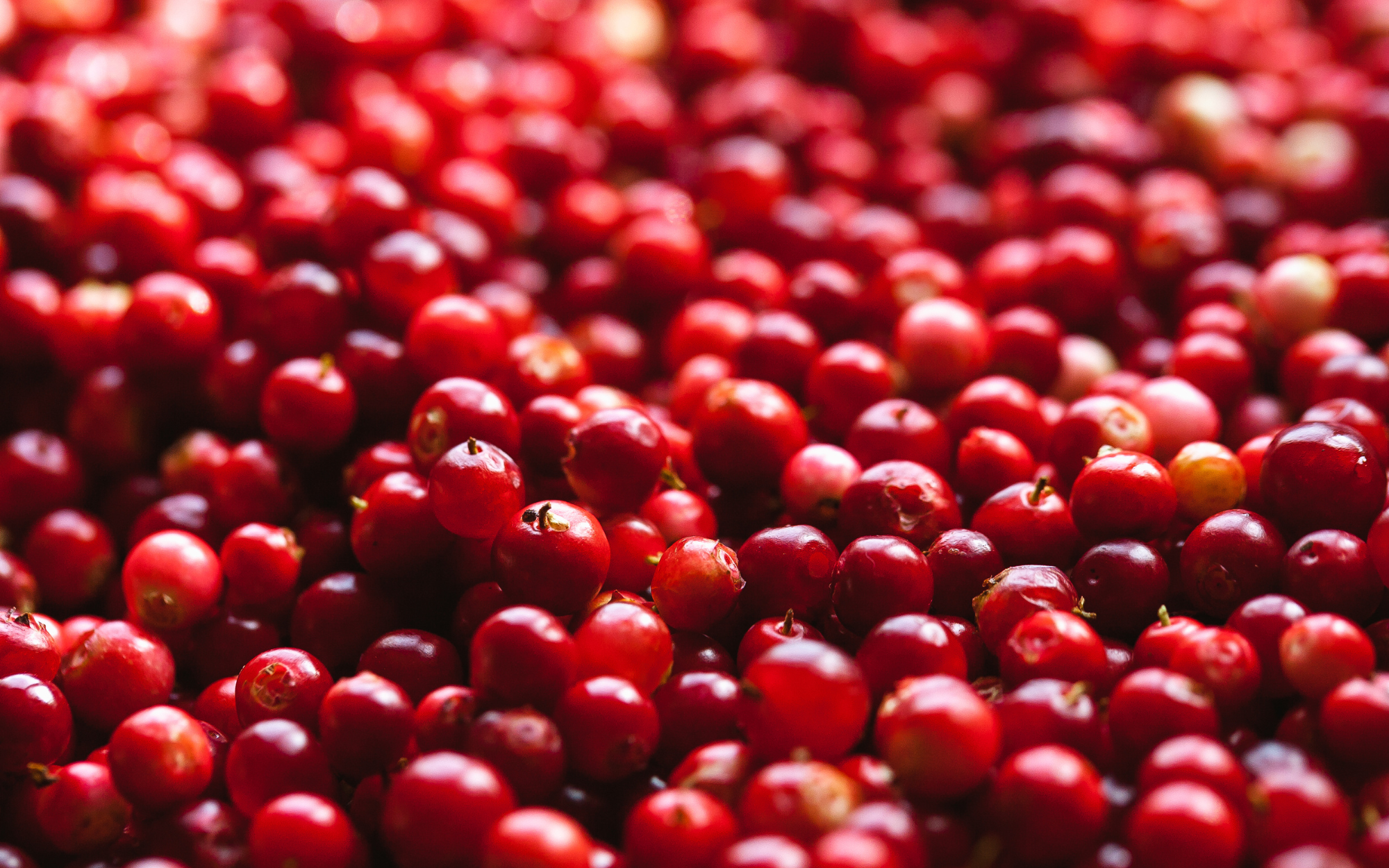 Cranberry for UTI and OAB